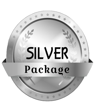  silver 1 image